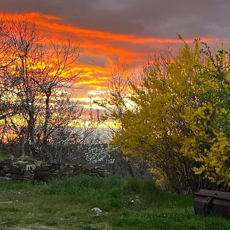 La Rive Du Viaur * Pampelonne