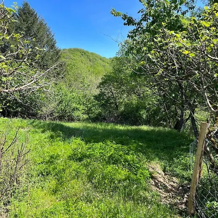 La Rive Du Viaur * Pampelonne