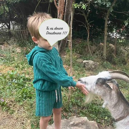 La Rive Du Viaur Feriehus *