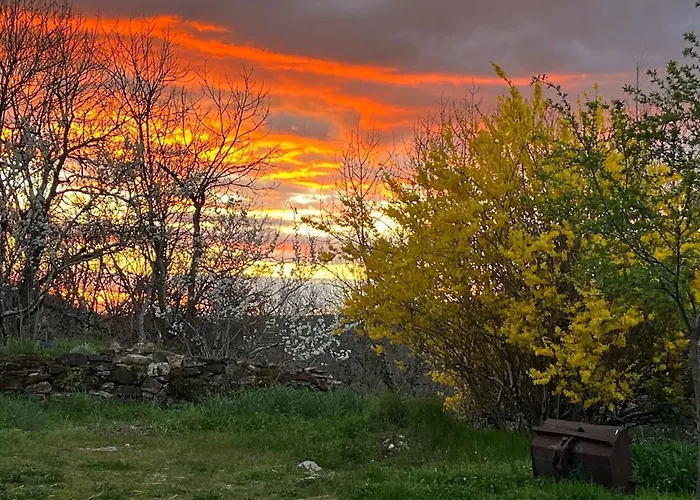 La Rive Du Viaur * Pampelonne