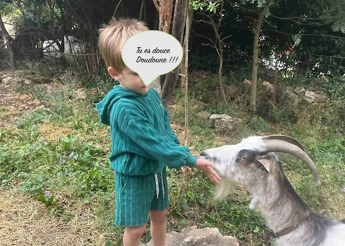 La Rive Du Viaur Nyaraló *